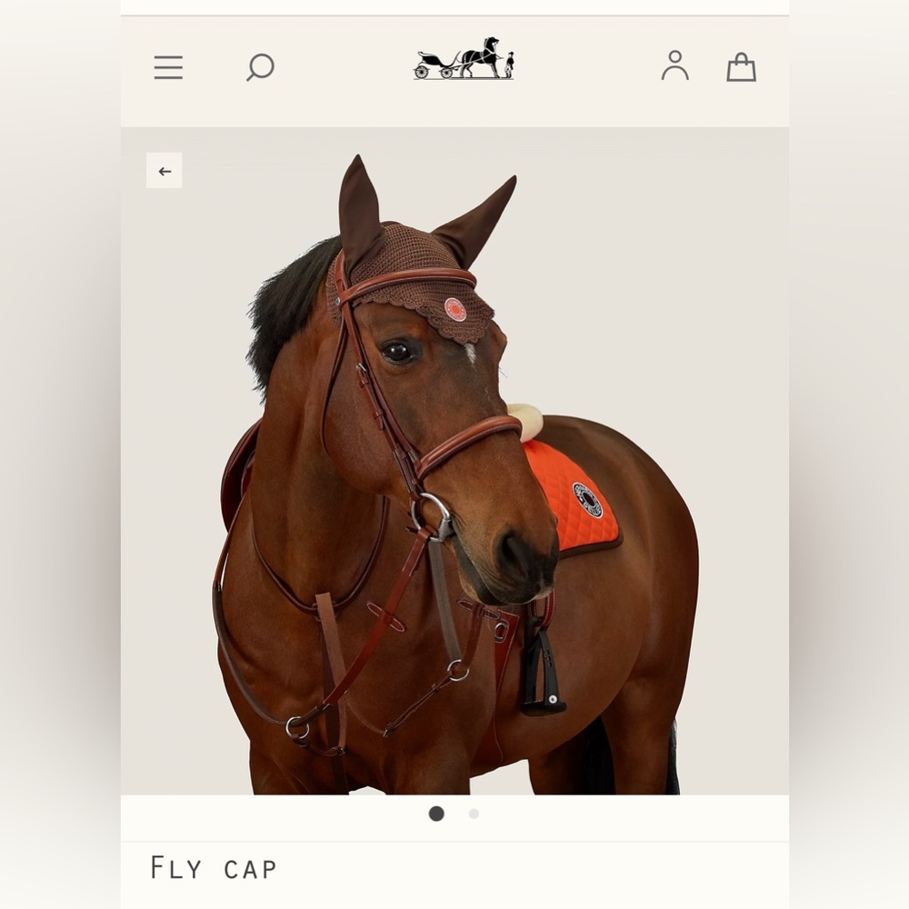 Hermes Fly Cap